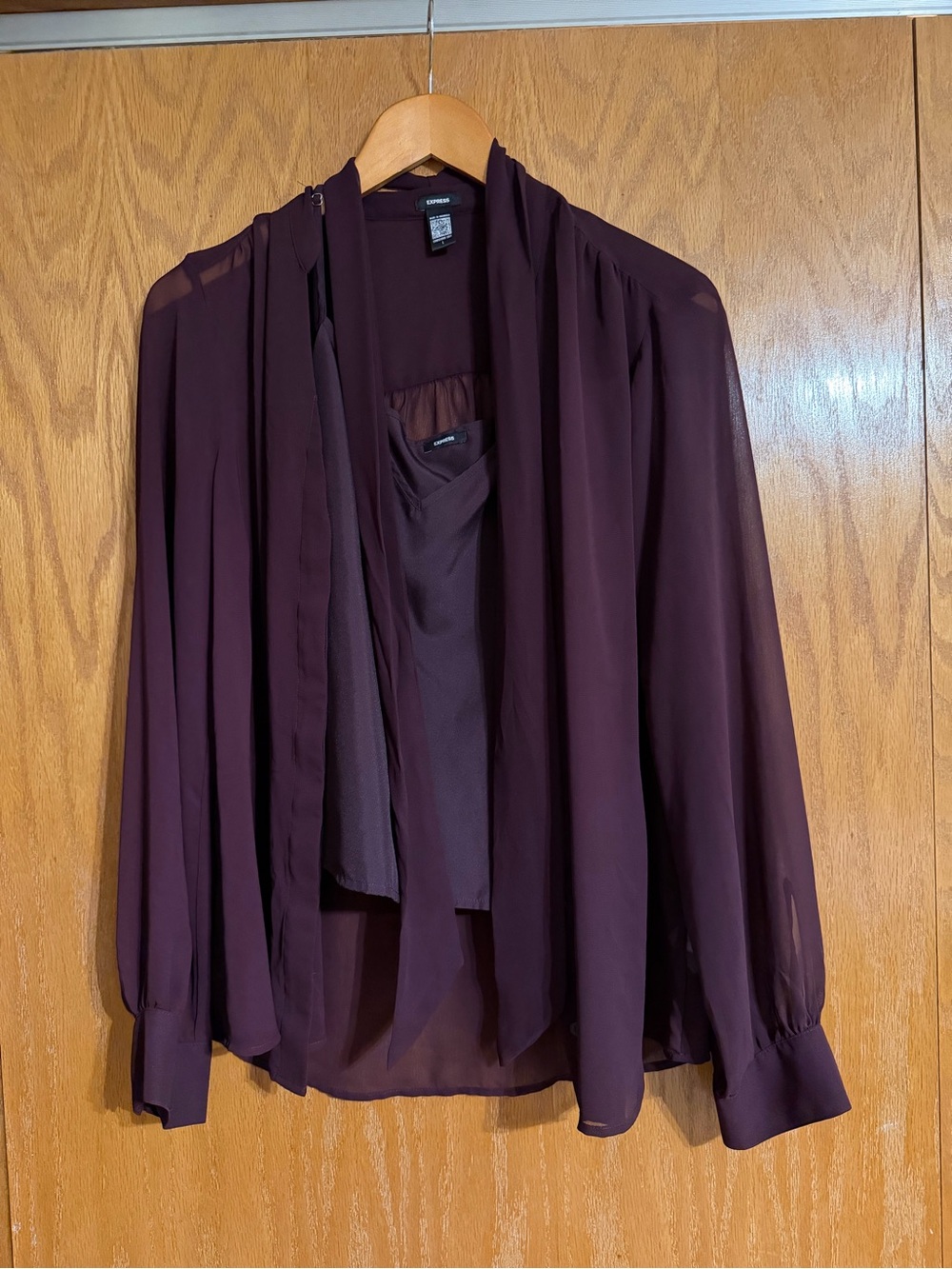 Express Plum Sheer Tie-Neck Blouse